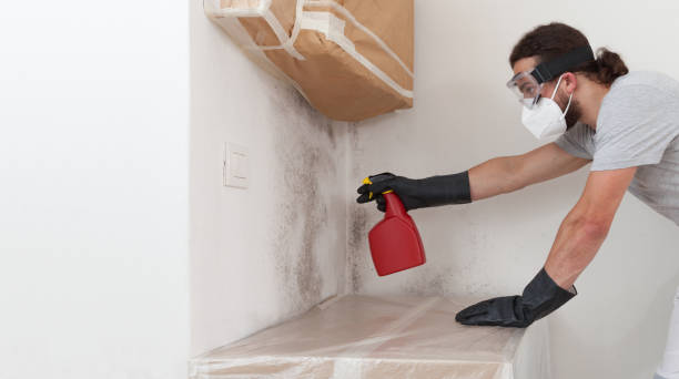 Professional Mold Removal technician working in Schooleys Mountain, NJ